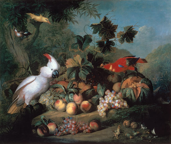 Fruit and Birds de Jakob Bogdani or Bogdany
