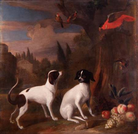 Two Dogs in a Landscape de Jakob Bogdani or Bogdany