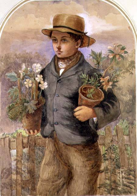 Garden Boy de James Collinson