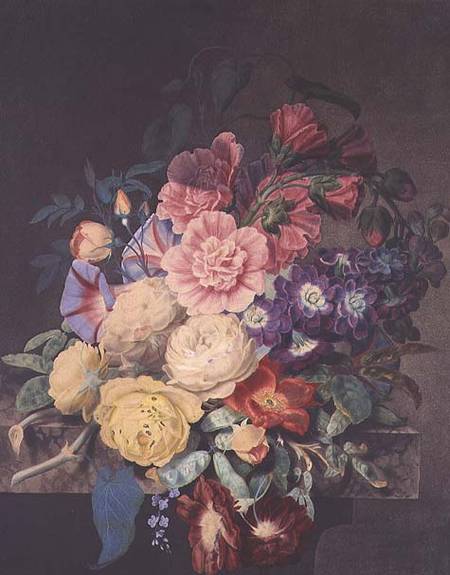 Hollyhocks and roses de James Hewlett