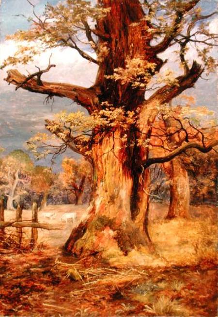 Blasted Oak, Galloway de James Jnr Faed