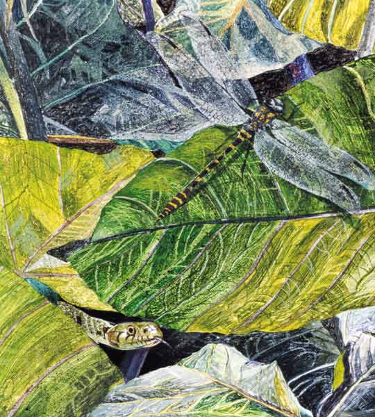 Water Snake and Dragon-fly, 1971 (oil on canvas) (detail of 240814)  de  James  Reeve