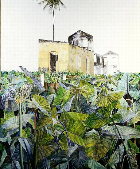 Ruin in a Swamp, Haiti, 1971 (oil on canvas)  de  James  Reeve