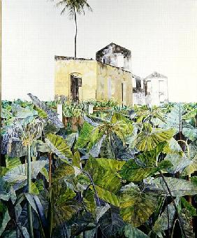 Ruin in a Swamp, Haiti, 1971 (oil on canvas) 