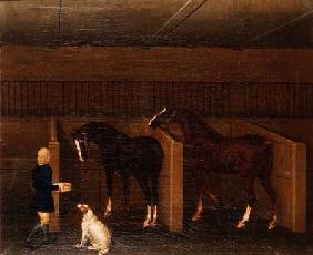 A groom, horses and a dog in a stable