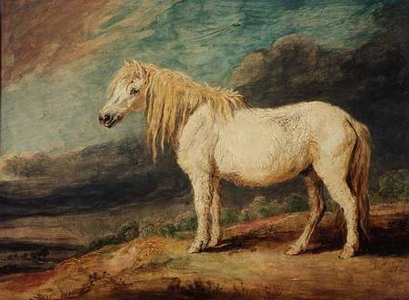 Shetland Pony de James Ward