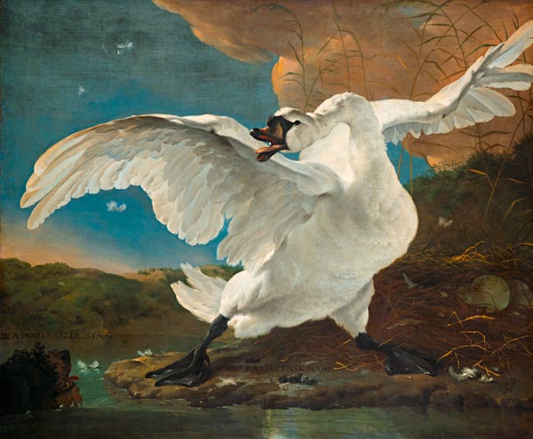 The Threatened Swan de Jan Asselijn
