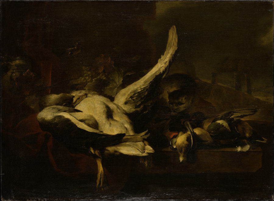Dead Fowl Being Eaten by a Cat de Jan Baptist Weenix