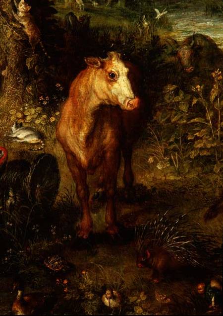 Earth or The Earthly Paradise, detail of a cow, porcupine and other animals de Jan Brueghel (El Viejo)