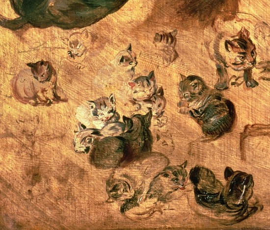 Study of cats, 1616 (detail of 65879) de Jan Brueghel (El Viejo)