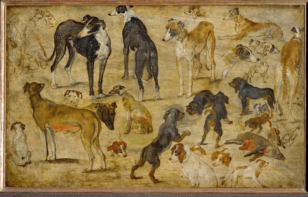 Tierstudien de Jan Brueghel (El Viejo)