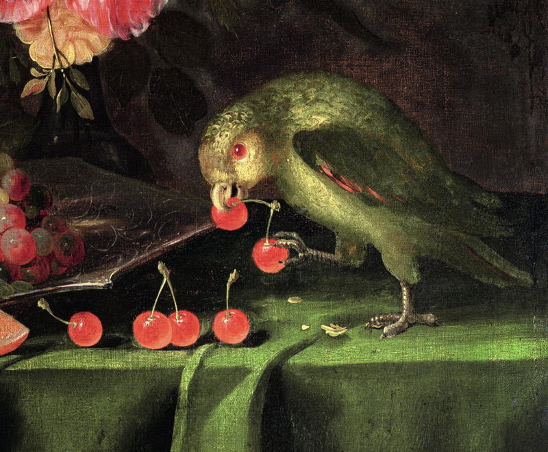 Still Life of Fruit and Flowers, detail of a Parrot de Jan Davidsz de Heem