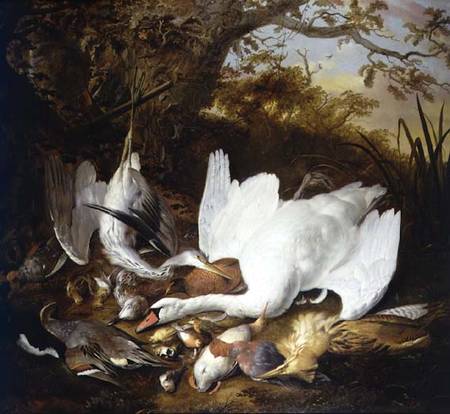 Still Life of Swan and Game in a Landscape de Jan de Wit