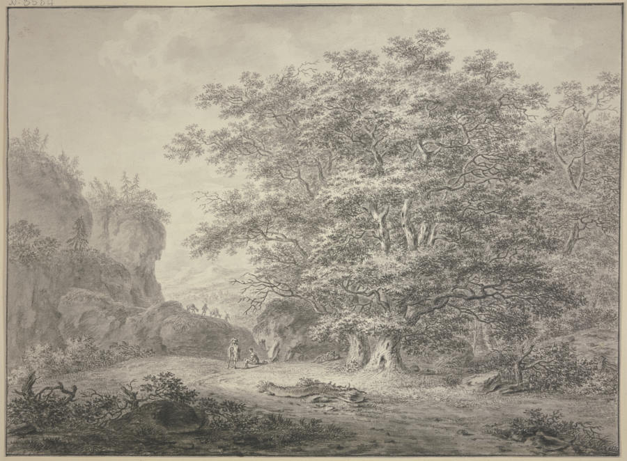 Waldpartie, links Felsen über welche zwei Maultiere mit ihren Führern kommen de Jan Evert Grave
