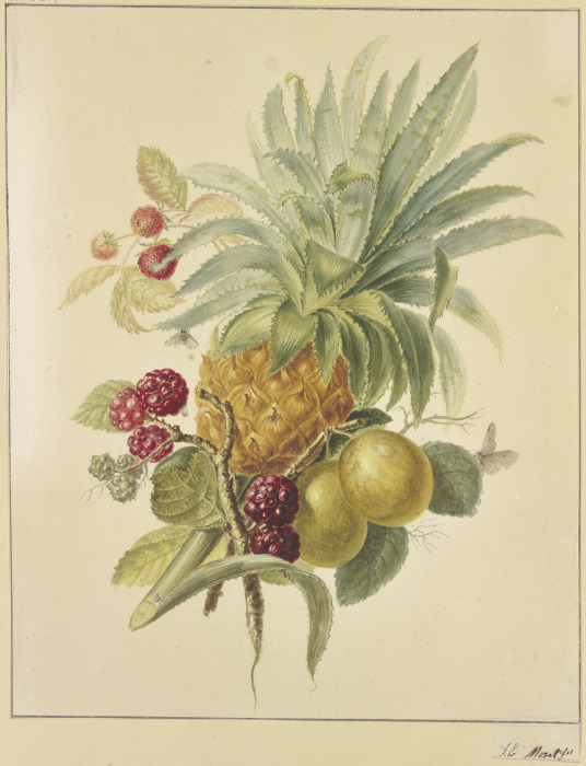 Eine Ananas, Pflaumen und Himbeeren de Jan Evert Morel