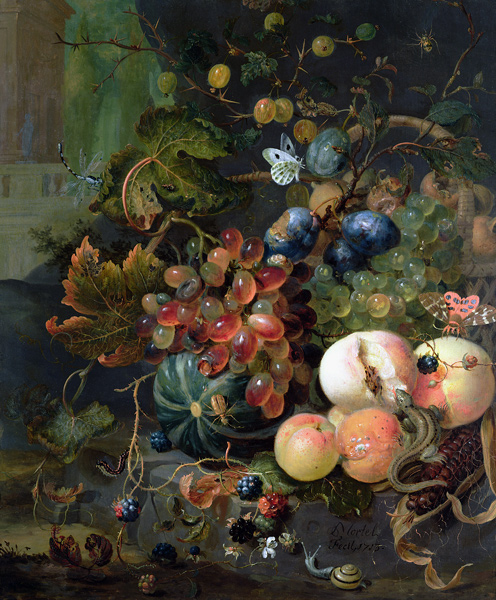 Still Life of Fruit and Insects de Jan Mortel