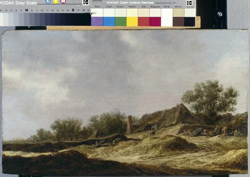 Landschaft mit Bauernhaus de Jan van Goyen