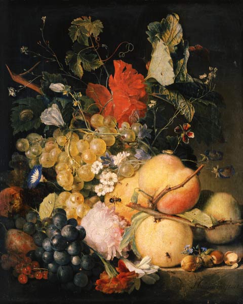 Fruits, flowers and insects de Jan van Huysum