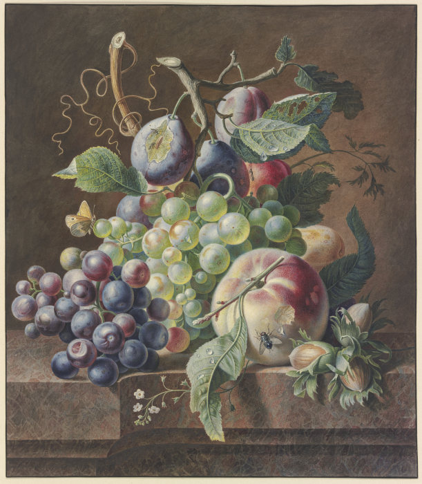 Früchtestück mit Pfirsich, Haselnuss,Trauben und Pflaumen de Jan van Huysum