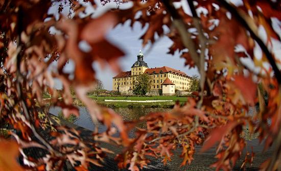 Herbst im Schlosspark Zeitz de Jan Woitas