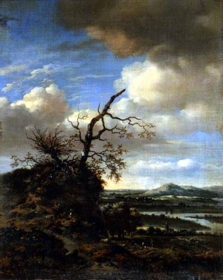 Extensive River Landscape c.1665/1670 de Jan Wynants