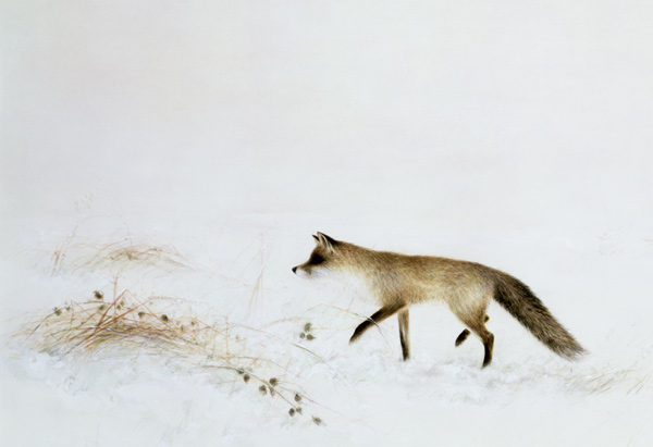 Fox in Snow  de Jane  Neville