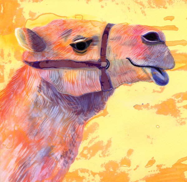 Camel de Jane Tattersfield