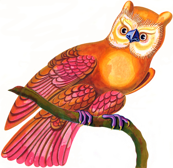 owl de Jane Tattersfield