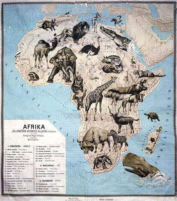Map of animals in Africa (colour engraving) Sf de Janos Balint