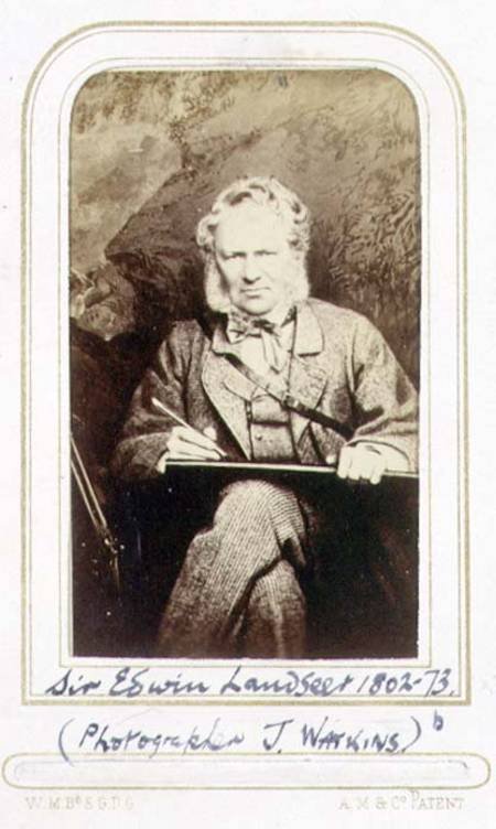 Portrait of Sir Edwin Landseer (1802-73) (albumen print) de J.C. Watkins