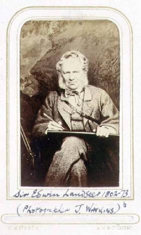 Portrait of Sir Edwin Landseer (1802-73) (albumen print)