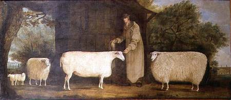 A Shepherd with his Flock de J.D. Curtis