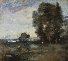 Summer Landscape