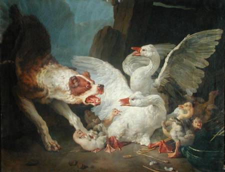 A Dog Attacking Geese de Jean-Baptiste Huet