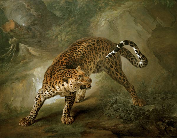 Leopard de Jean Baptiste Oudry