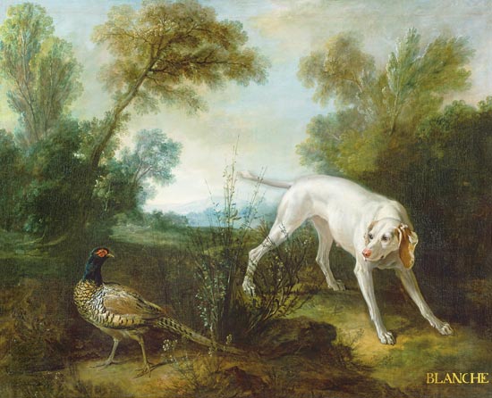 Blanche, Bitch of the Royal Hunting Pack de Jean Baptiste Oudry
