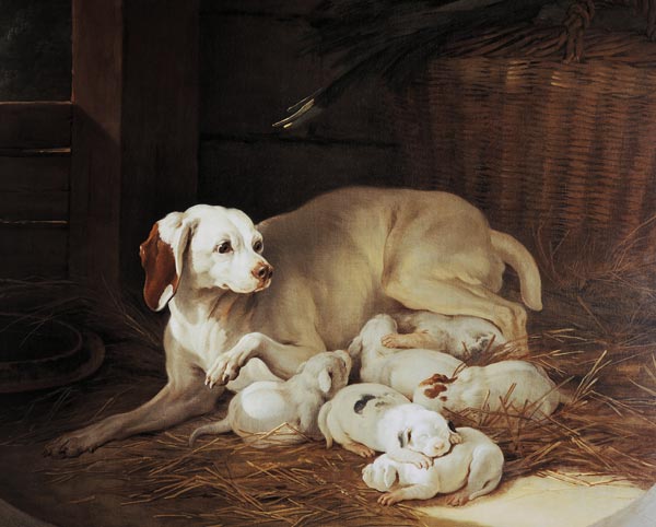 Bitch nursing puppies, detail from Lise et ses petits de Jean Baptiste Oudry