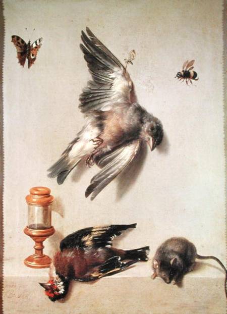 Still Life of Dead Birds and a Mouse de Jean Baptiste Oudry