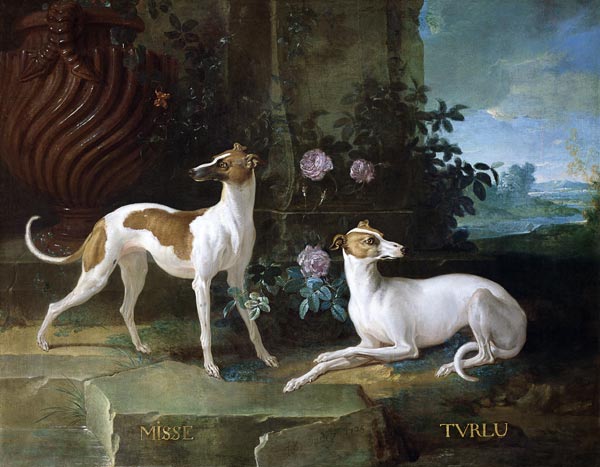 Misse and Turlu, two greyhounds of Louis XV de Jean Baptiste Oudry