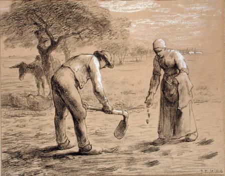 Peasants planting potatoes de Jean-François Millet