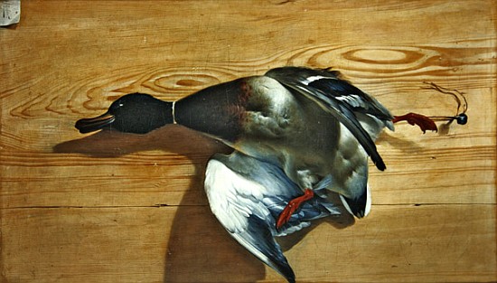 A duck on a pine board de Jean Jacques Bachelier