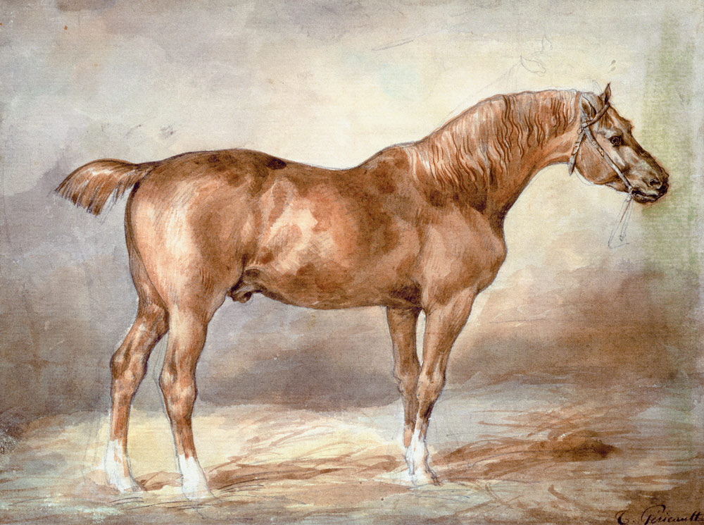 A docked chestnut horse de Jean Louis Théodore Géricault