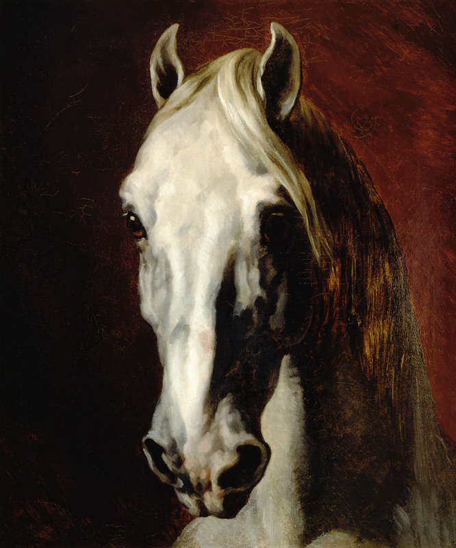 Cabeza caballo blanco de Jean Louis Théodore Géricault