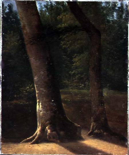 Study of Trees de Jean Victor Bertin
