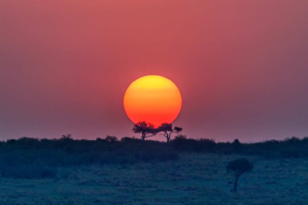 Equatorial sunset de Jeffrey C. Sink