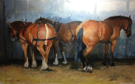 Horses - Heavy Horses - Chertsey Show
