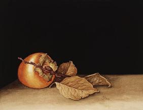 Persimmon, 2004 (w/c on paper) 