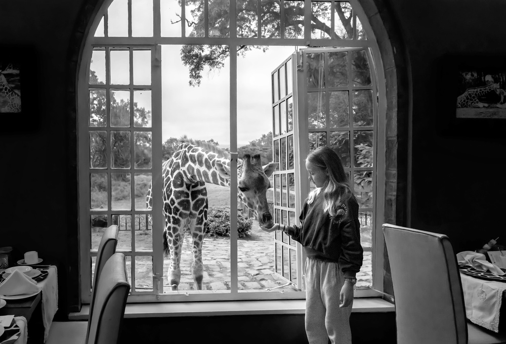 Giraffe and girl de Jie Fischer