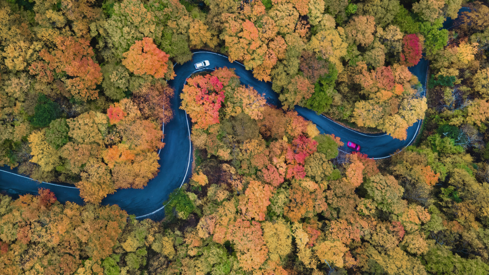 Autumn curve de Jie Jin