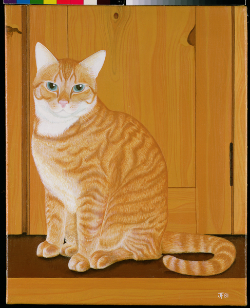 Marmalade cat by a door de Joan Freestone